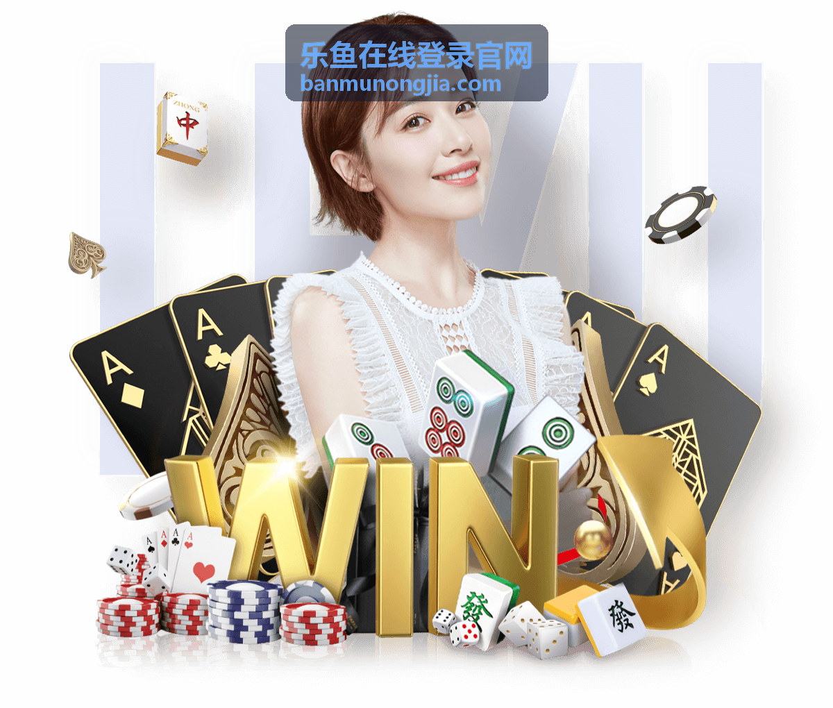 乐鱼在线登录官网使用流程示意图